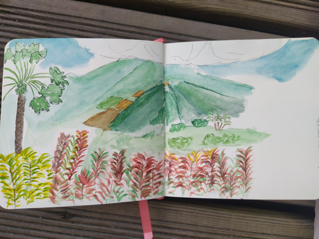 Vue depuis la maison en ce moment